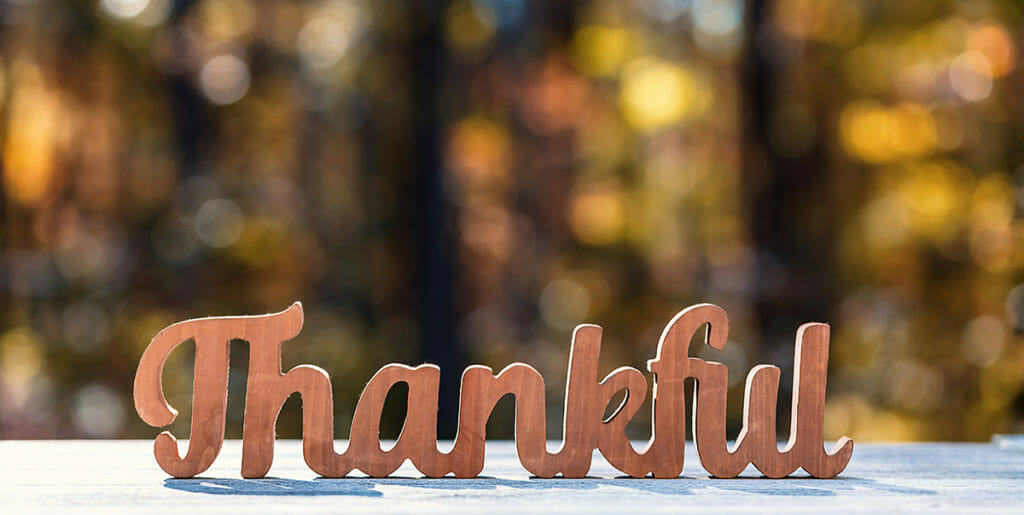 thankful wooden words on white deck in autumn woods