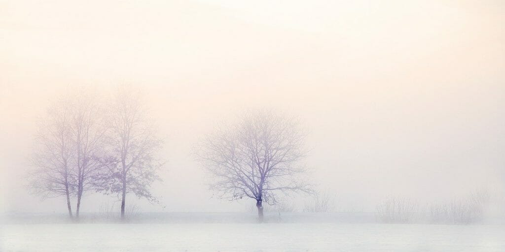 Snowy Field with trees in winter