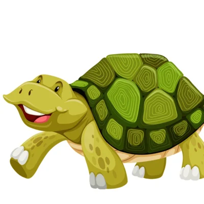 TrailTurtle